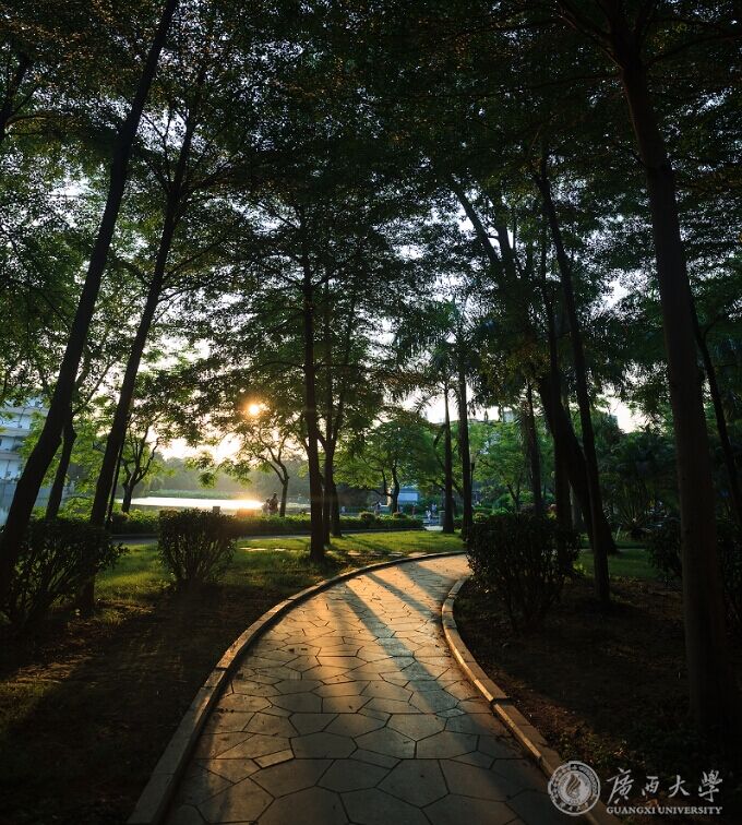 夕阳小道.jpg