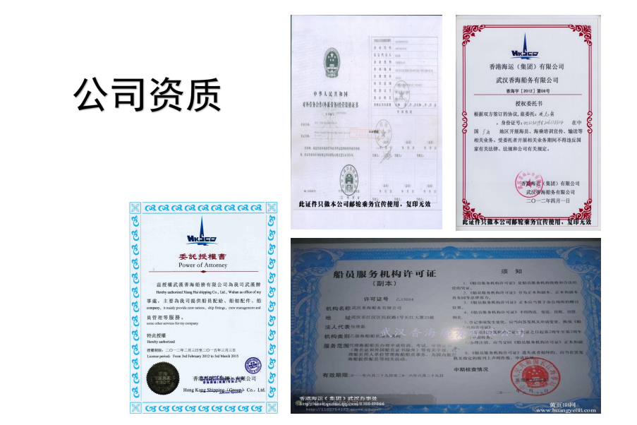 公司荣誉资质